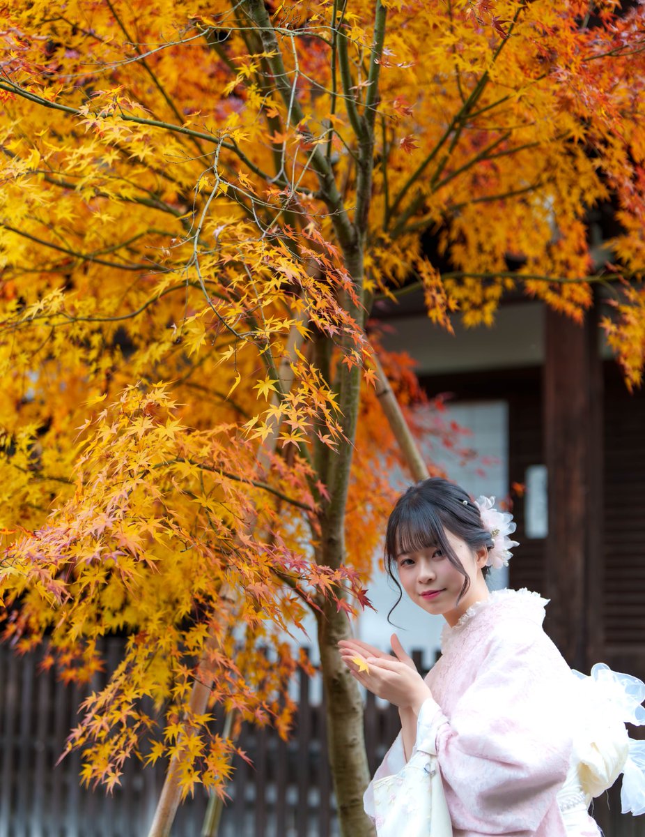 ぴえんちゃん【がんばるぴえんちゃんのパチンコ日記】🥺🪽 tweet media