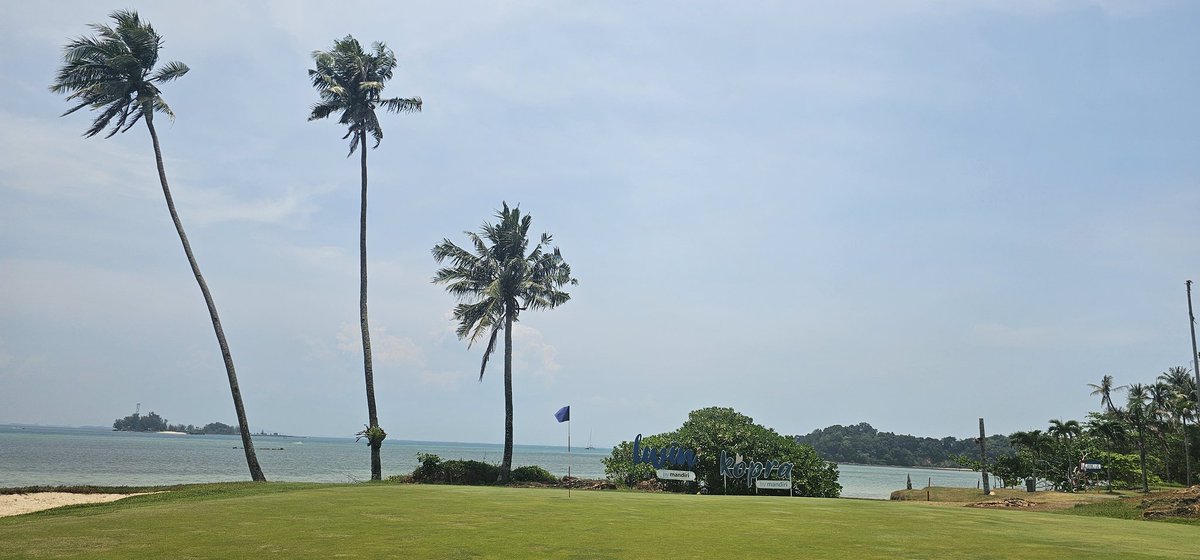 하롱부부 tweet media