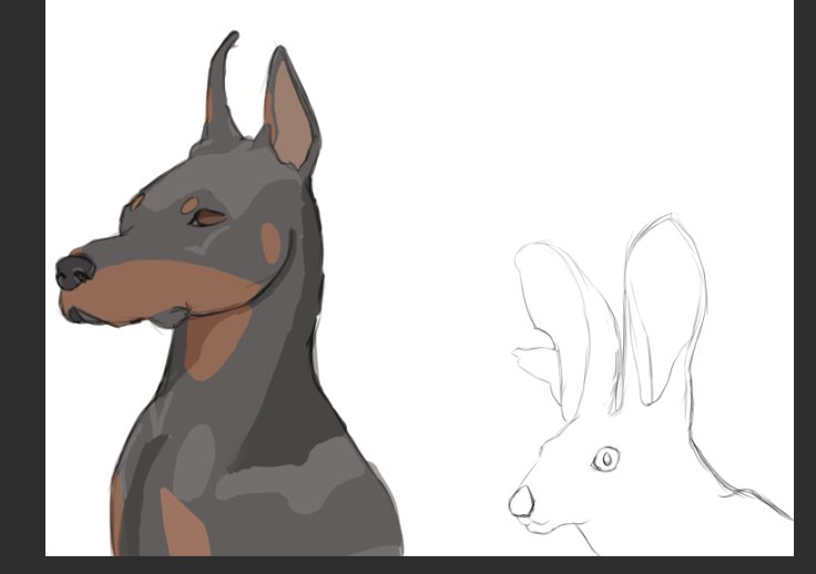 Vellitrix 🌙 Bunny Dog Vtuber tweet media