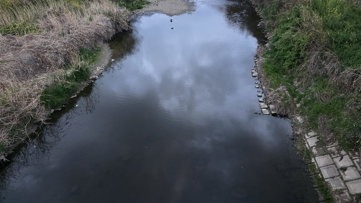 マーシーの獲ったり狩ったり tweet media