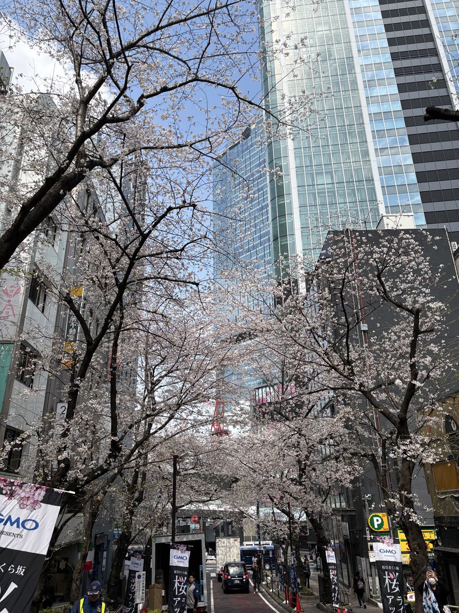 martynack1's tweet photo. Hello Shibuya!!!
#桜 https://t.co/CrY8wpGWQr