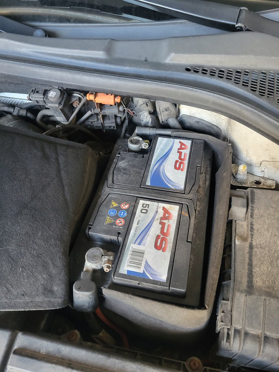 Apple Tree tweet media