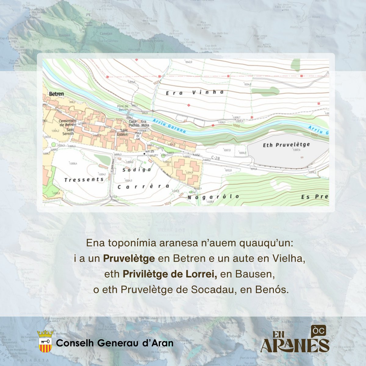 En Aranés tweet media