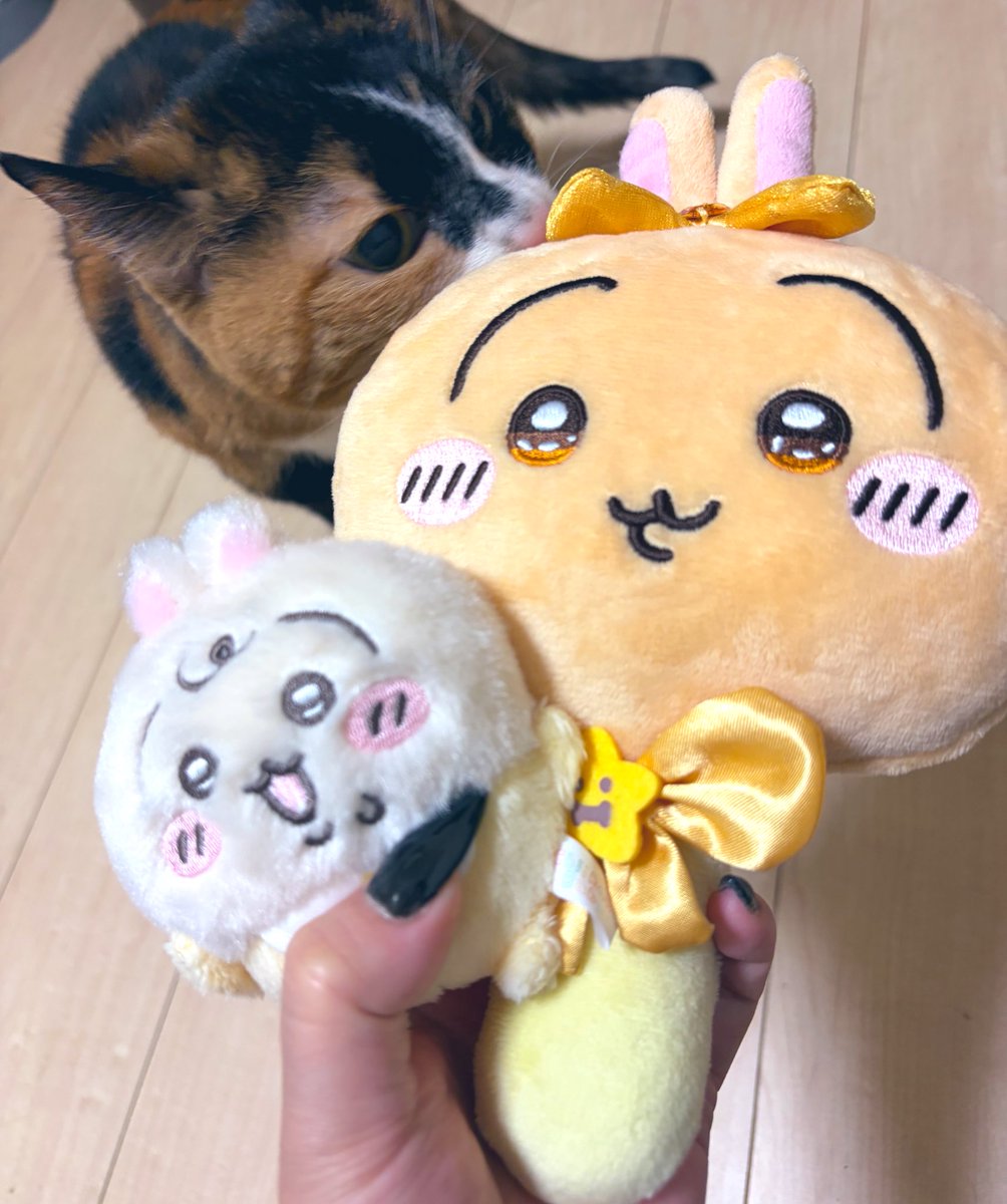 どらみ tweet media