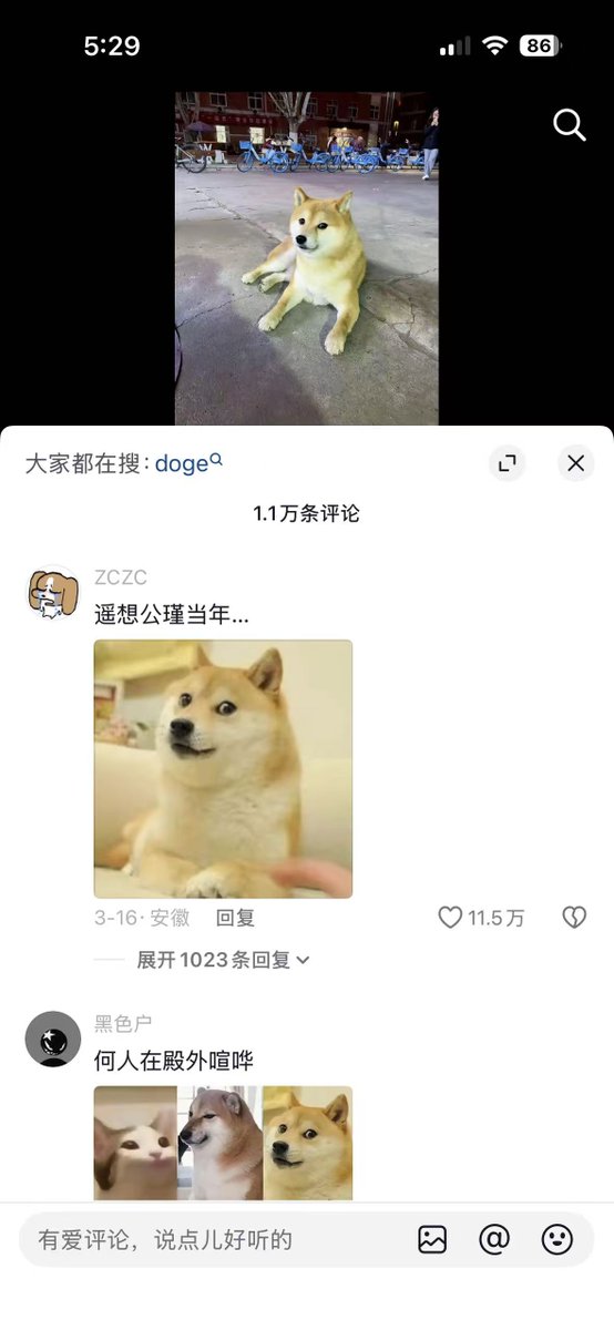 彩虹艺术家 tweet media