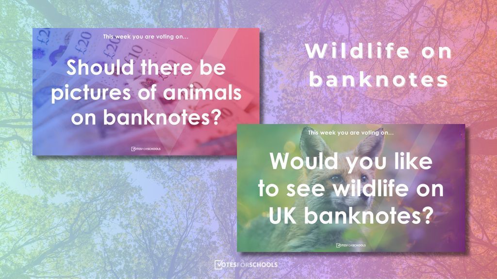 VotesforSchools 🗳️🌍📢 tweet media