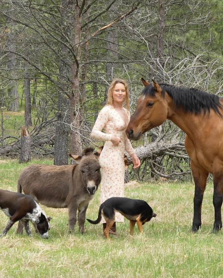 Carnivore Aurelius ©🥩 ☀️🦙 tweet media