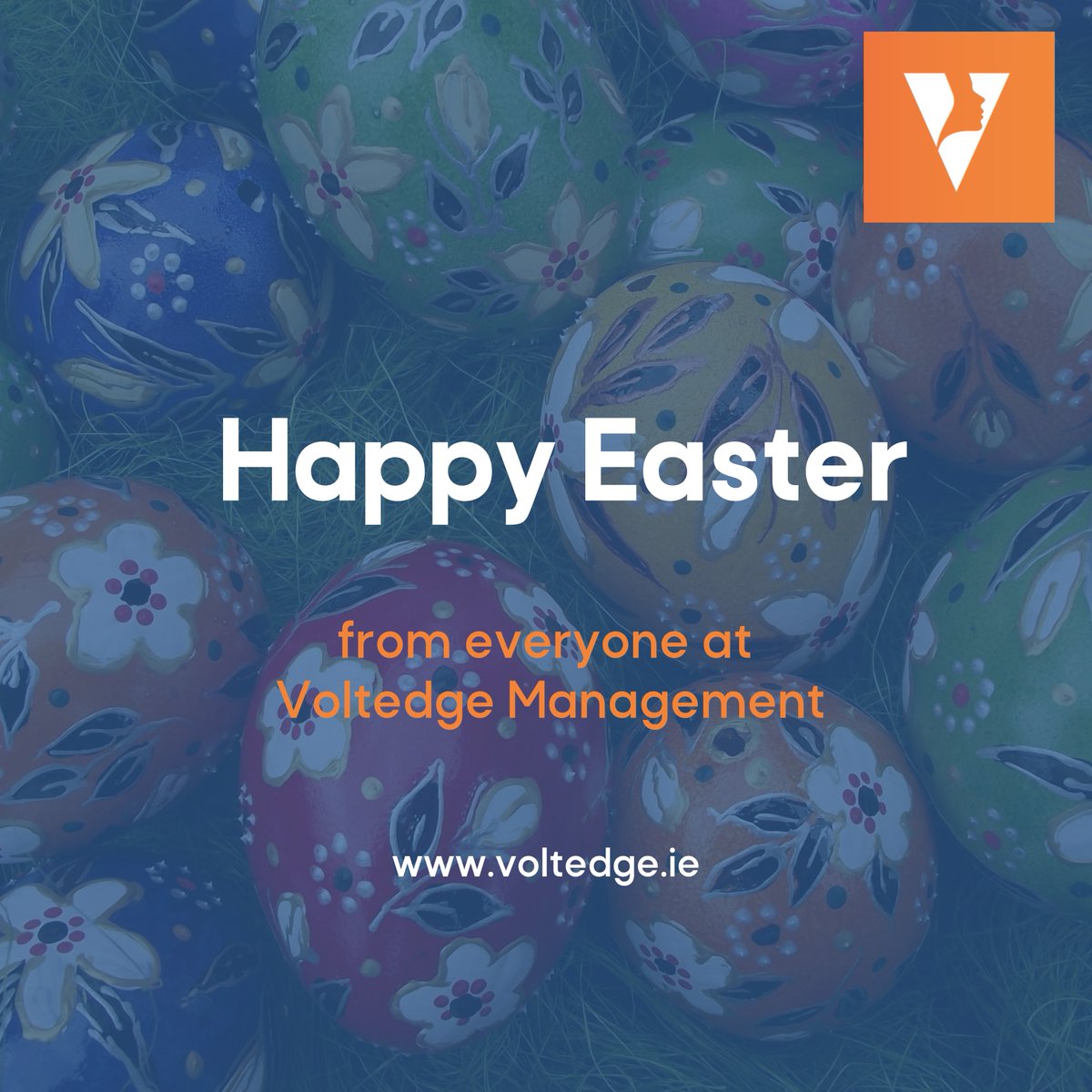 Voltedge tweet media