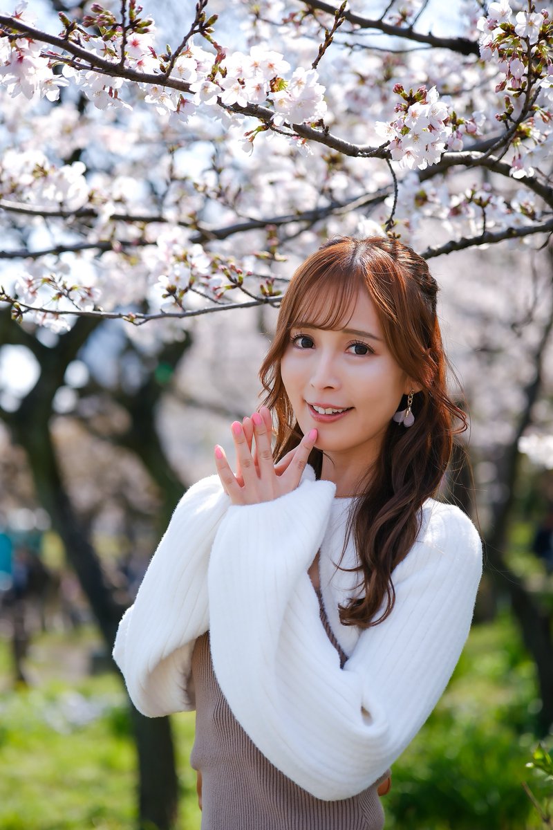 笹の才蔵🦕 tweet media