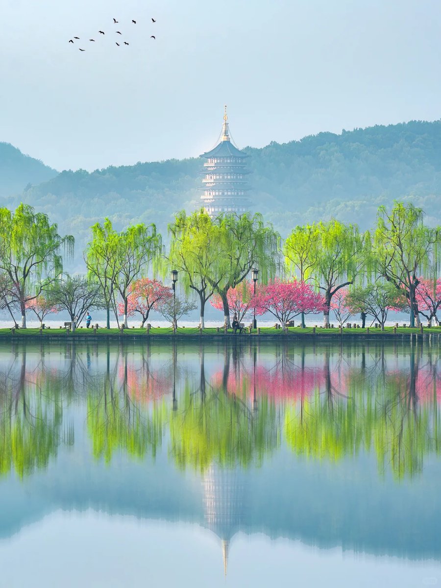 依然(互fo) tweet media