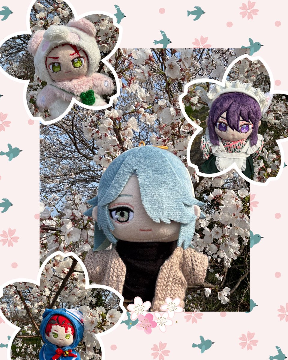 いち@4/12パラステ 5/31ドプショ🥰 tweet media