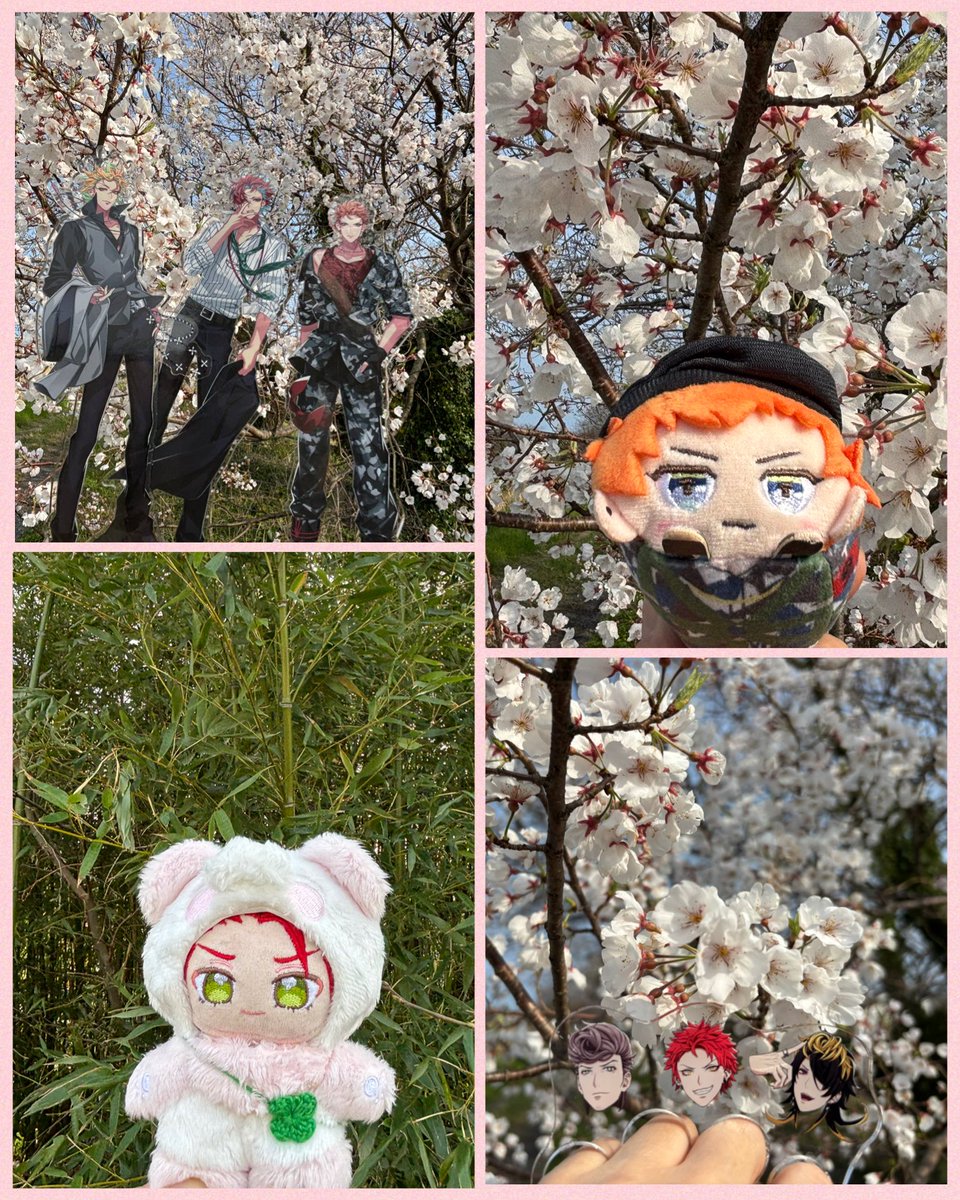 いち@4/12パラステ 5/31ドプショ🥰 tweet media