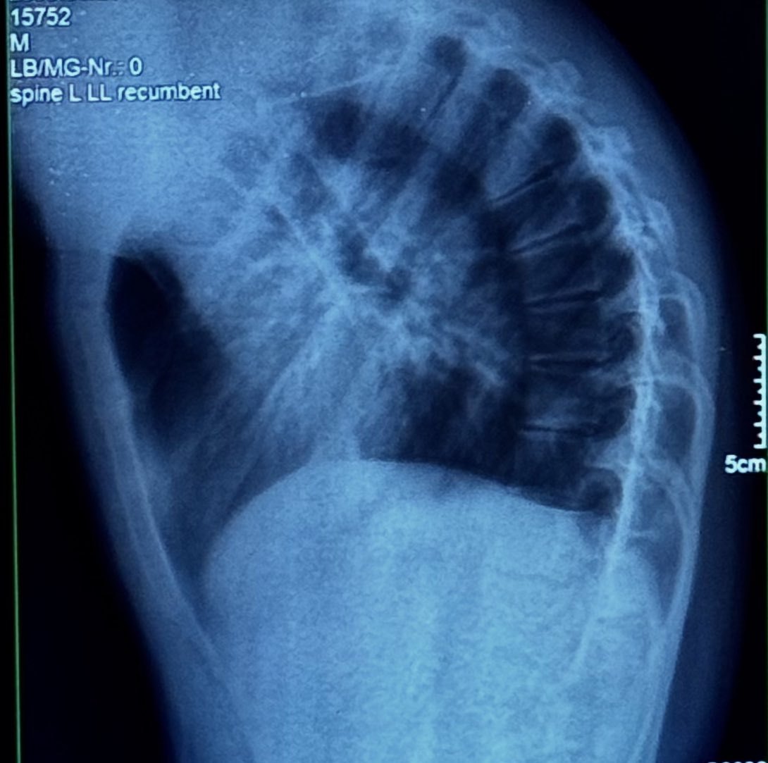 baby smbulik tweet media