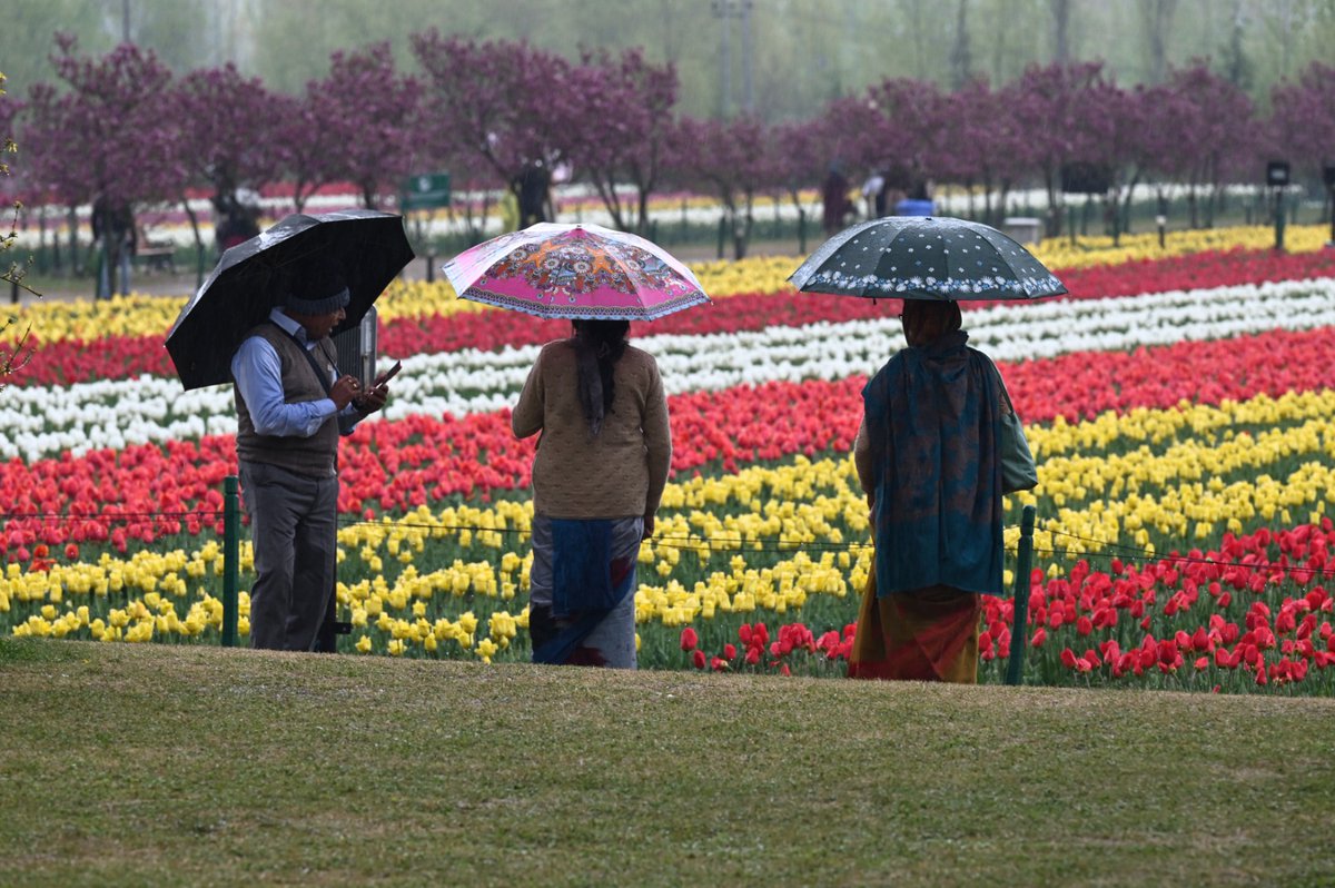 The Hindu tweet media