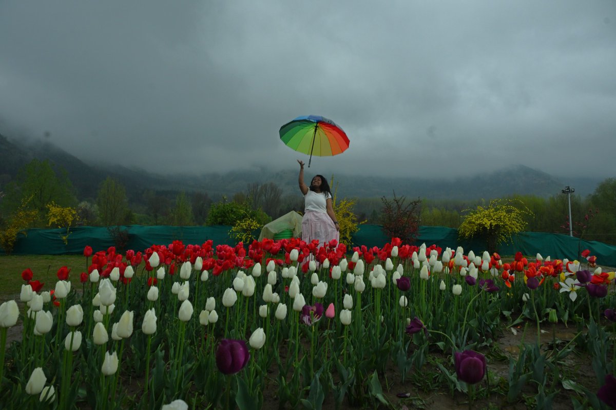 The Hindu tweet media