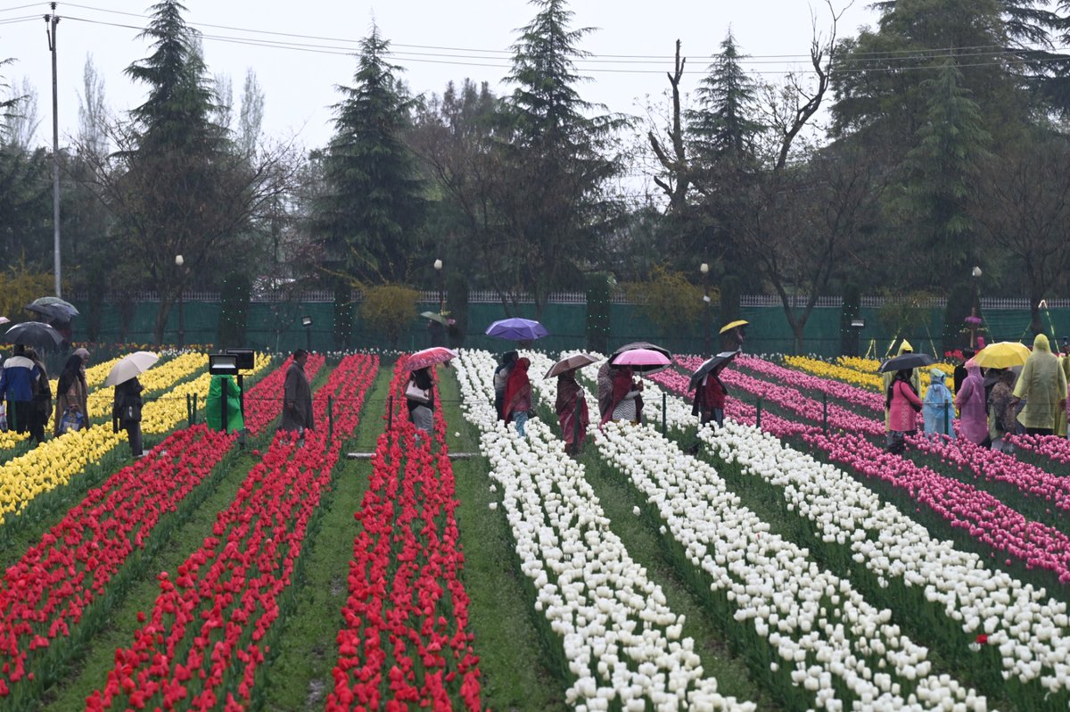 The Hindu tweet media