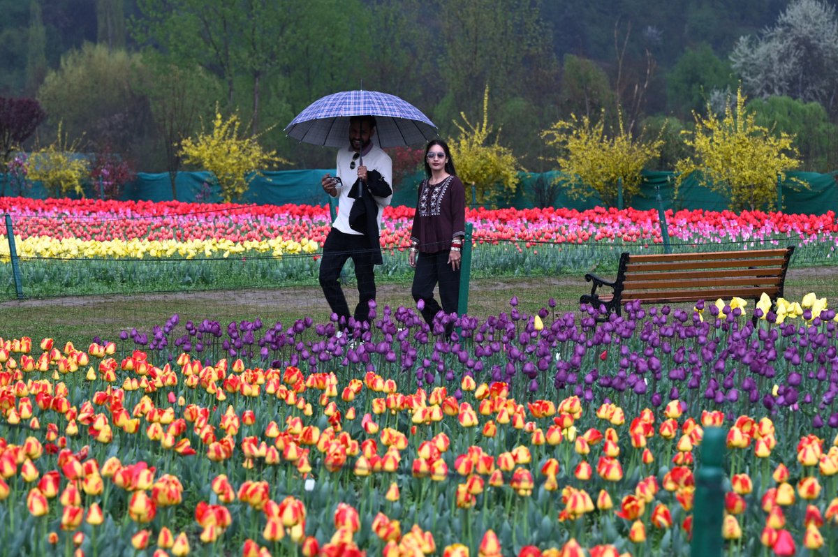 The Hindu tweet media