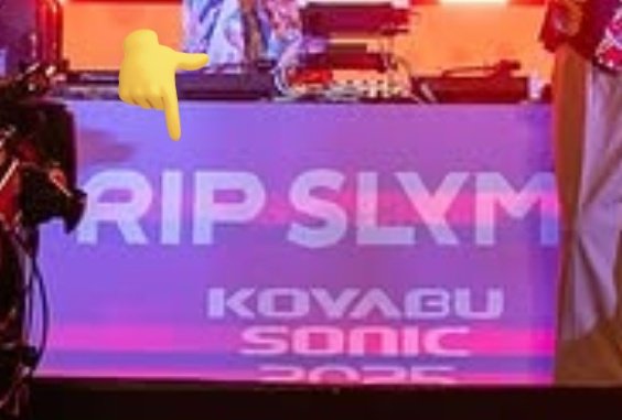 299(にくきゅう)@RIPSLYME垢(BIGBANGはお休み中) tweet media