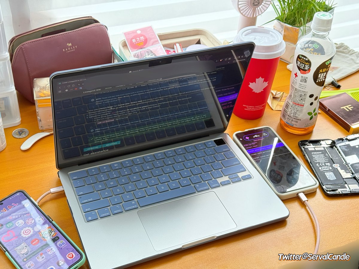 🌸猫宮すみか🎀🫪 tweet media