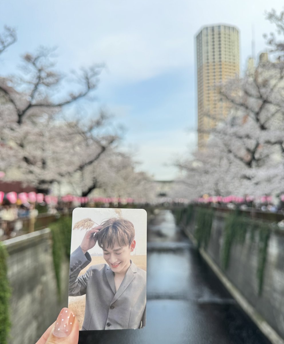 もうすぐ記念日🌿🔜
東京🇯🇵桜満開🌸
#CHEN #첸