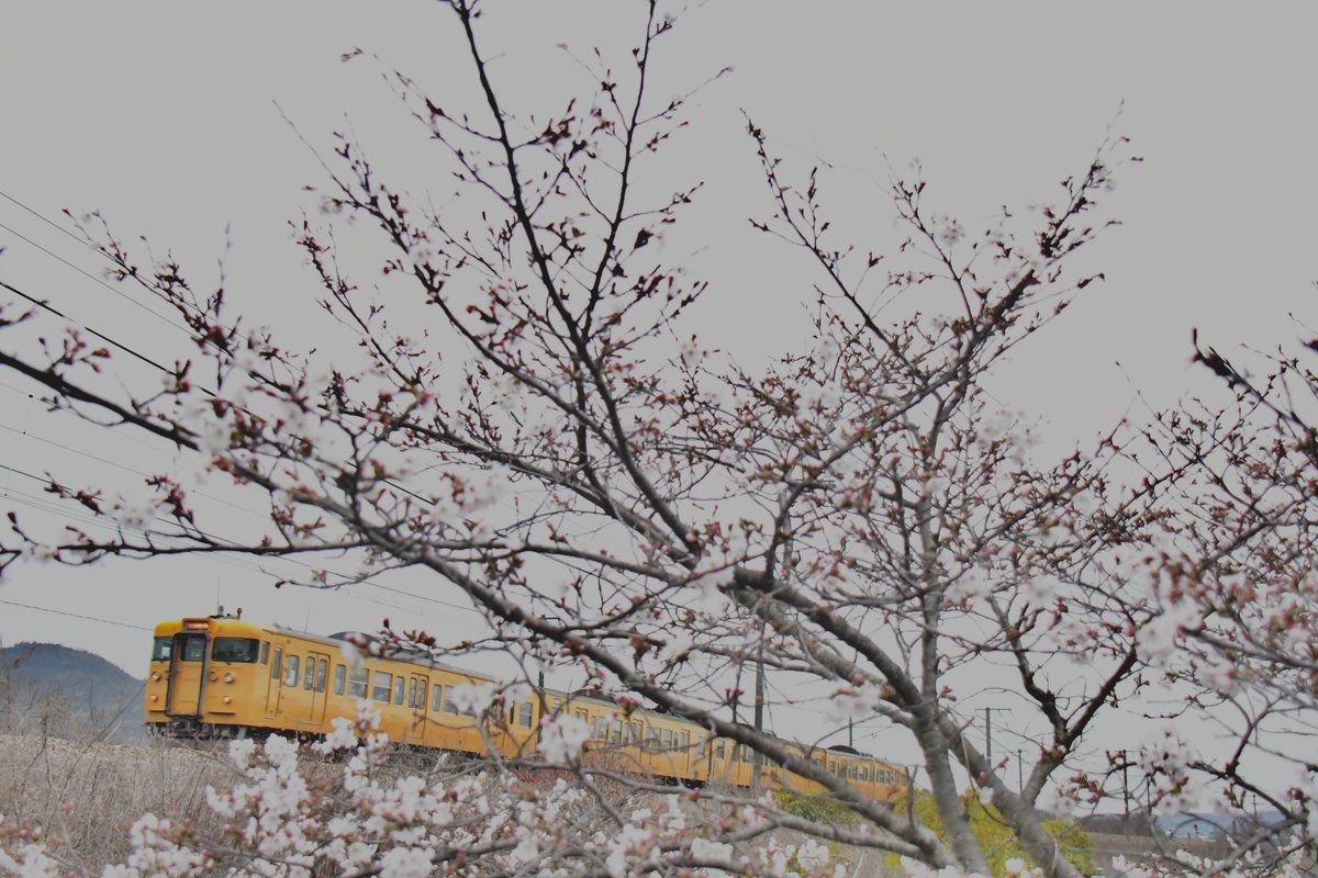 備後鉄道管理局 tweet media