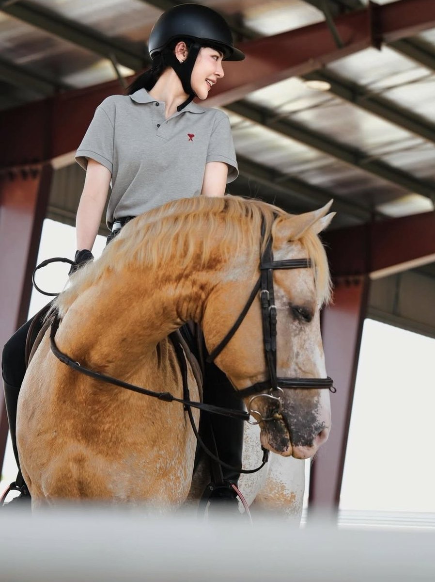 ~🌻's Capybara~ tweet media