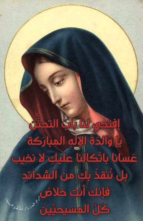 Nahed Naiem tweet media