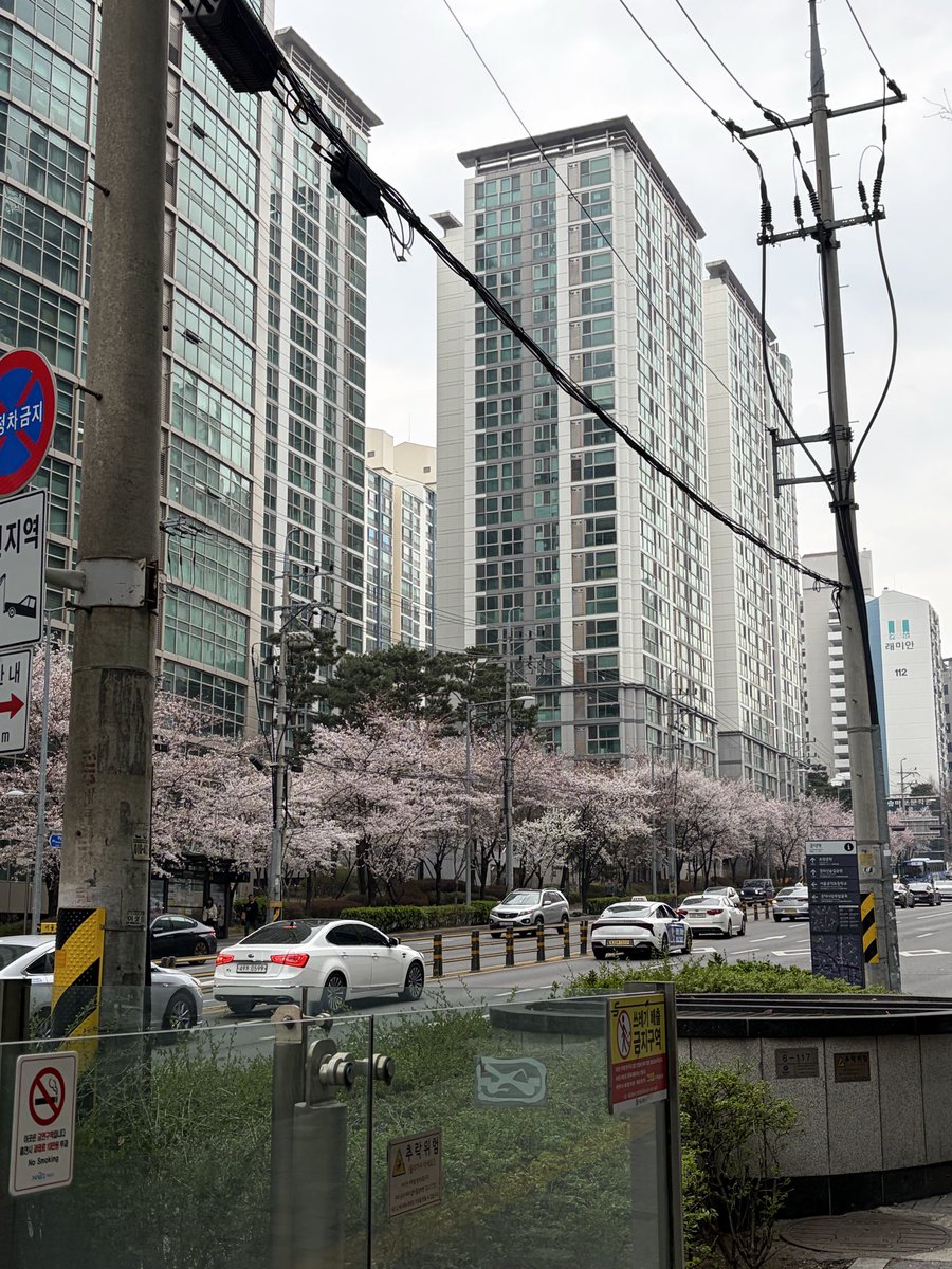 ᯓ★ 보 bo tweet media