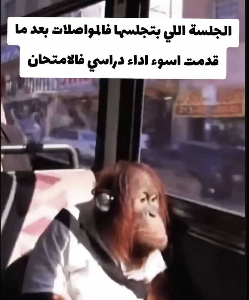 Cooked_Seifood tweet media