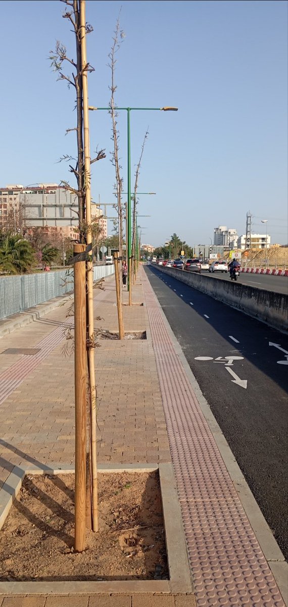 Francisco Fernandez tweet media