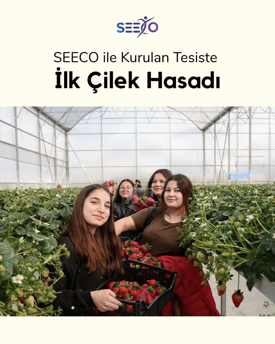 seecoproject's tweet photo. SEECO destekleriyle kurulan tesiste ilk hasat gerçekleştirildi. Tarsus’ta gençler ve kursiyerler, üretimin ilk adımını birlikte attı.

Young people and trainees carried out the first harvest at the facility established in Tarsus with SEECO support. https://t.co/v9rqNK9Ew0