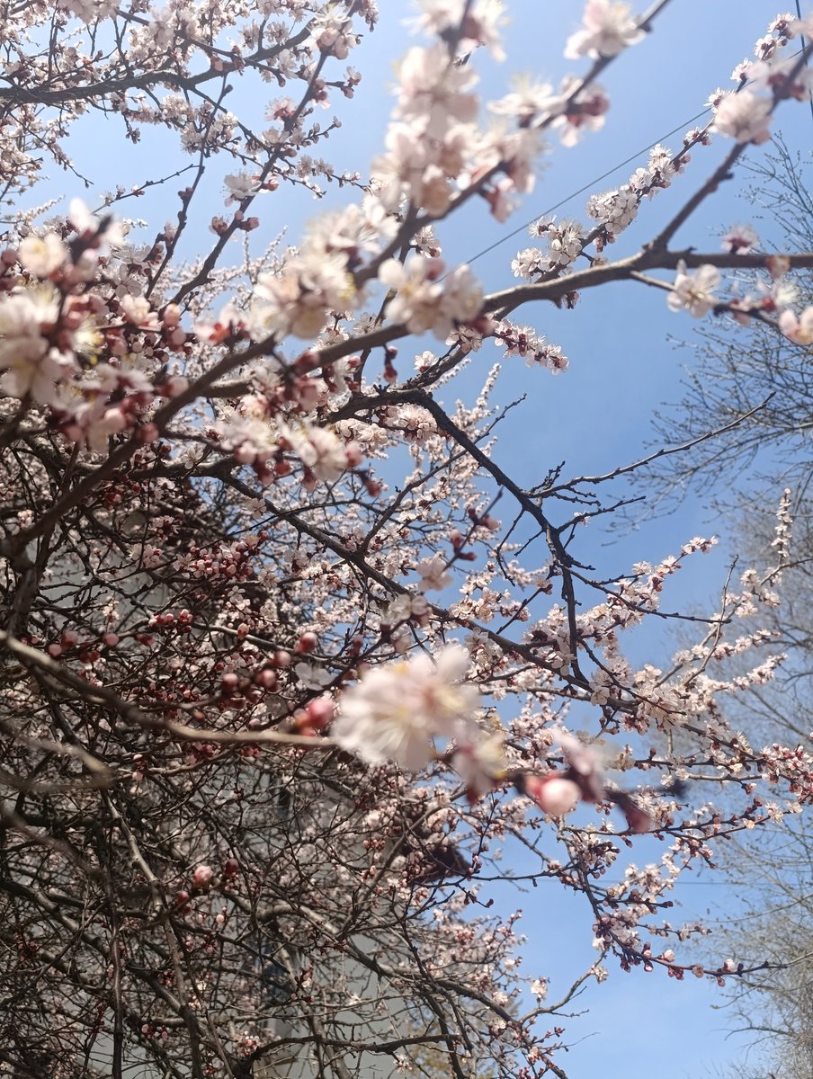 спонтАнна 💙💛 tweet media