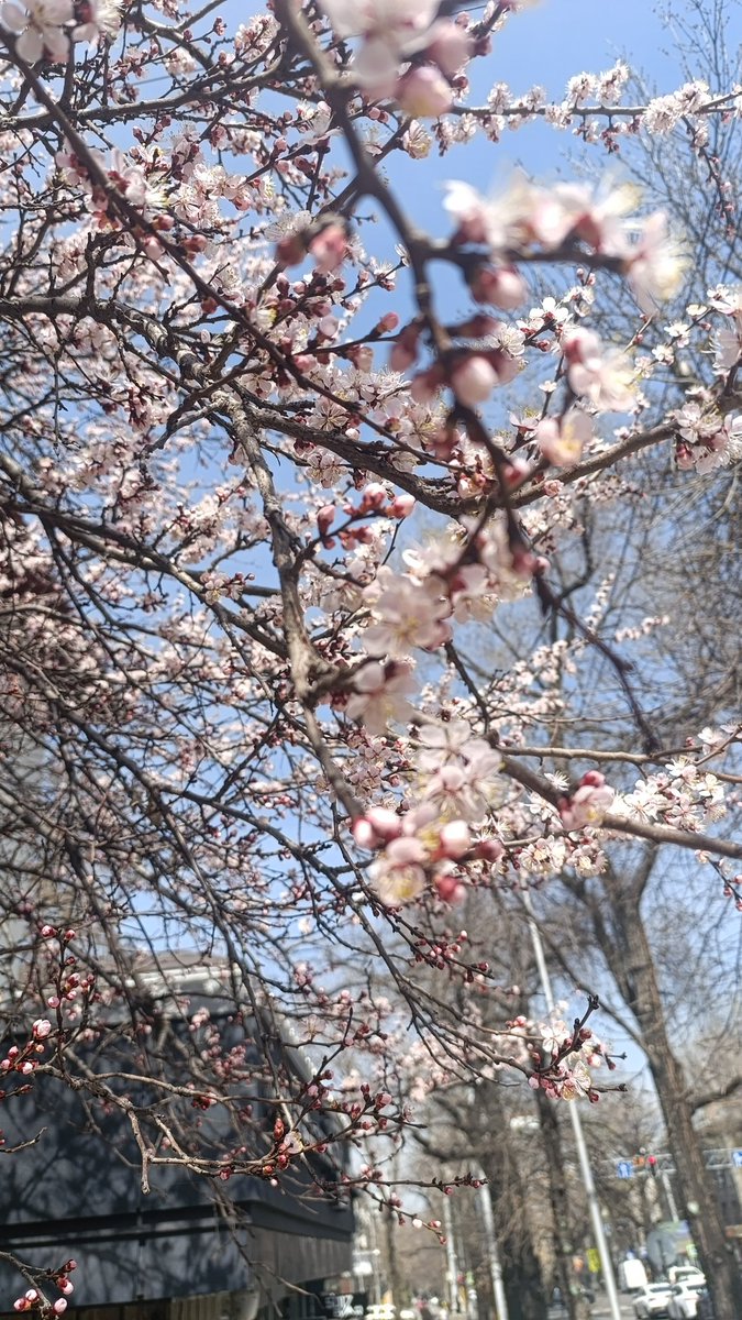 спонтАнна 💙💛 tweet media