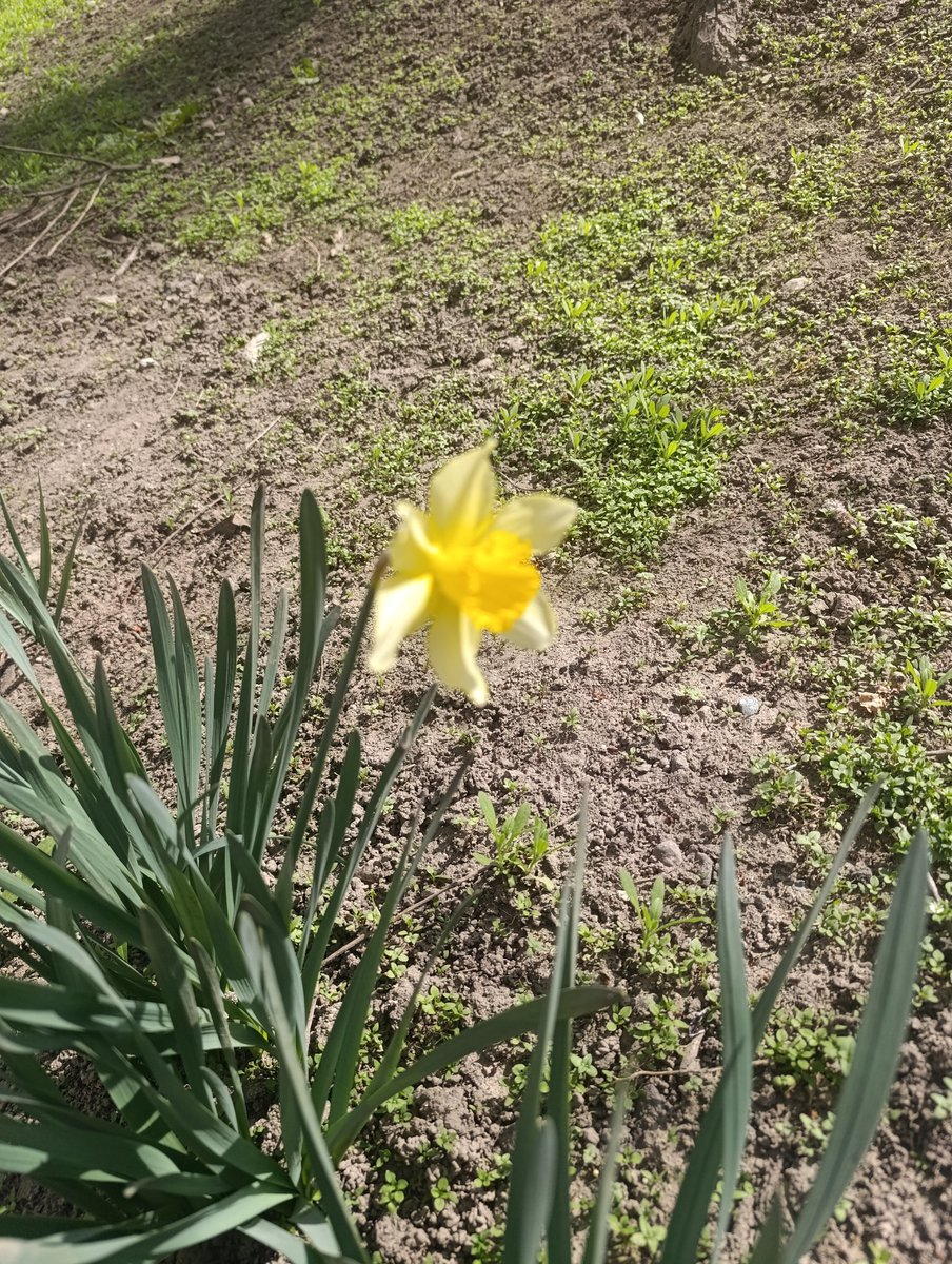 спонтАнна 💙💛 tweet media