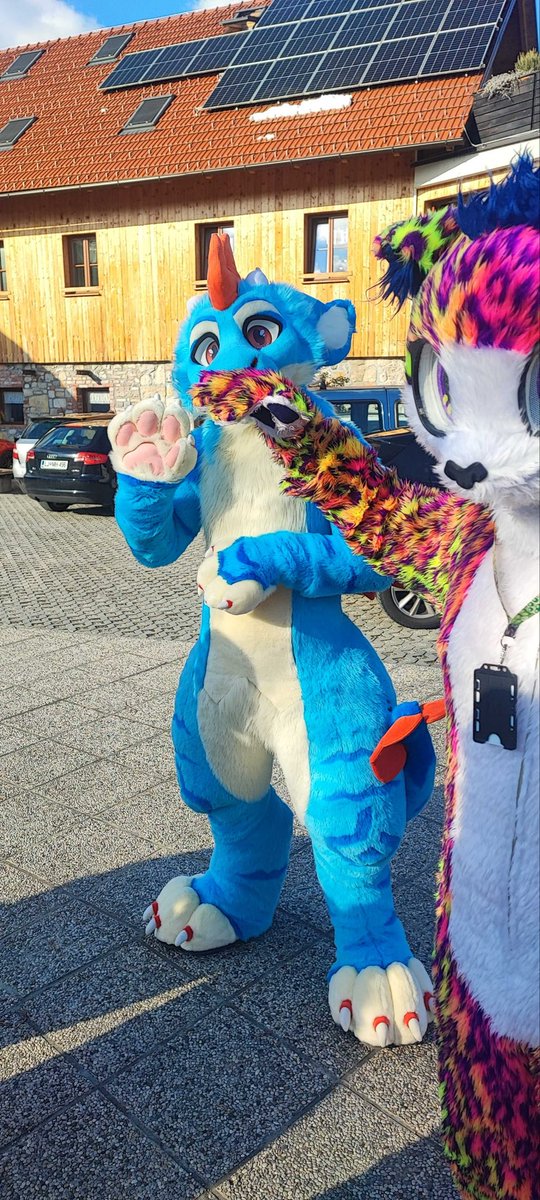 AlexMarbleFox's tweet photo. My first furry event!!!! Slofurs spring meet 2026!

I had so much fun, it was so great to finally meet the funny internet people in real life, have some delicious food and party!

I can’t wait for the next one :3 https://t.co/X7ofajNkYa