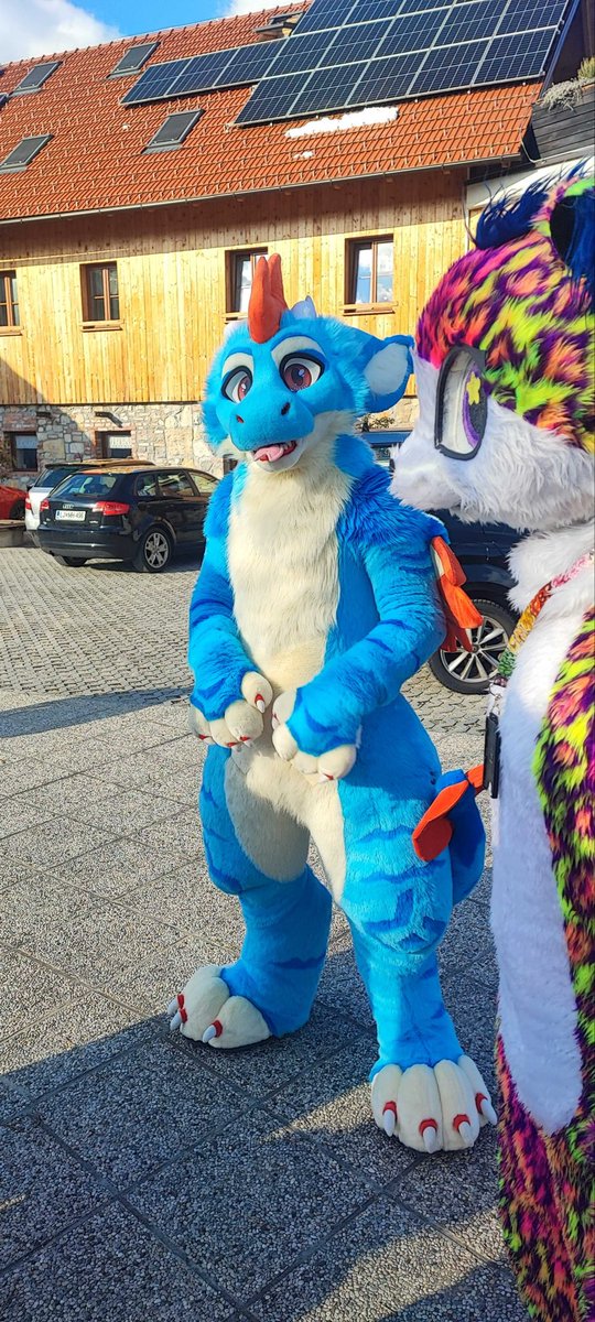 AlexMarbleFox's tweet photo. My first furry event!!!! Slofurs spring meet 2026!

I had so much fun, it was so great to finally meet the funny internet people in real life, have some delicious food and party!

I can’t wait for the next one :3 https://t.co/X7ofajNkYa