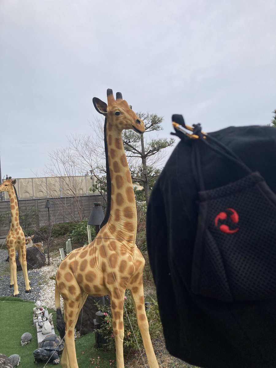 ファンキードリル tweet media