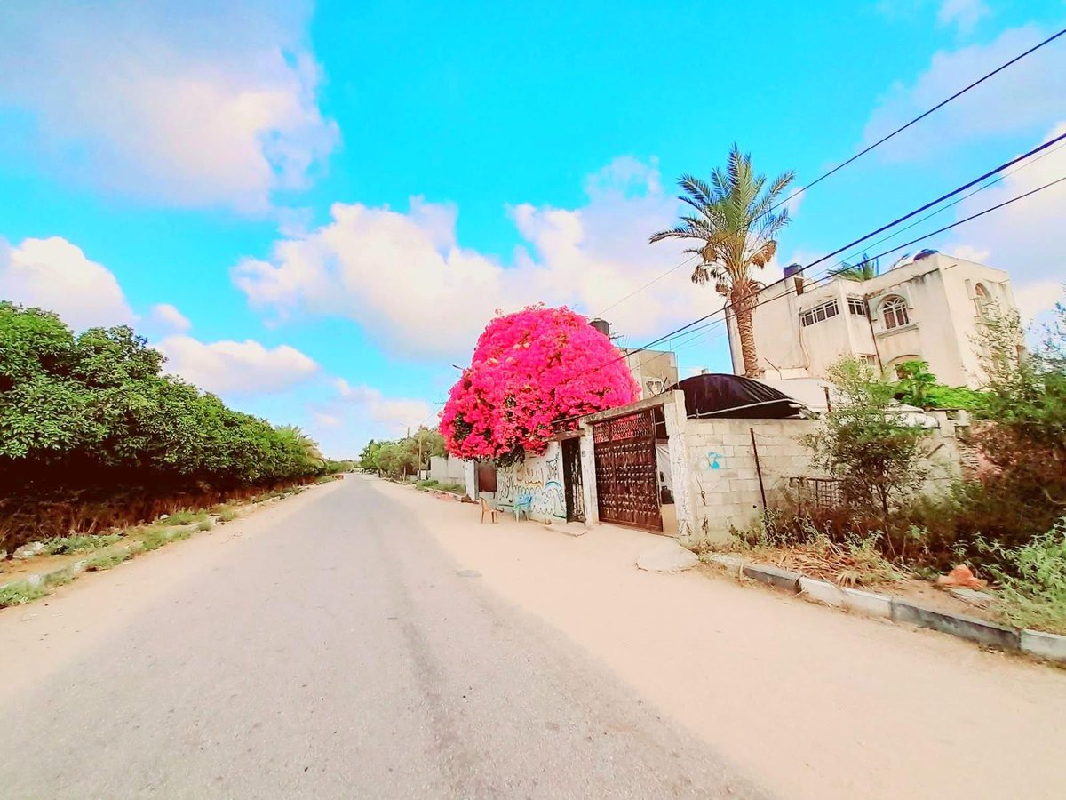 Mohammed tweet media