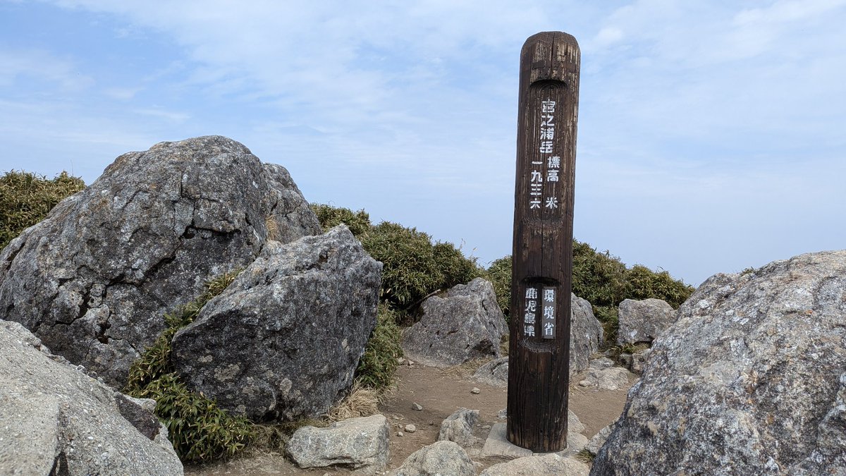 カッパ tweet media