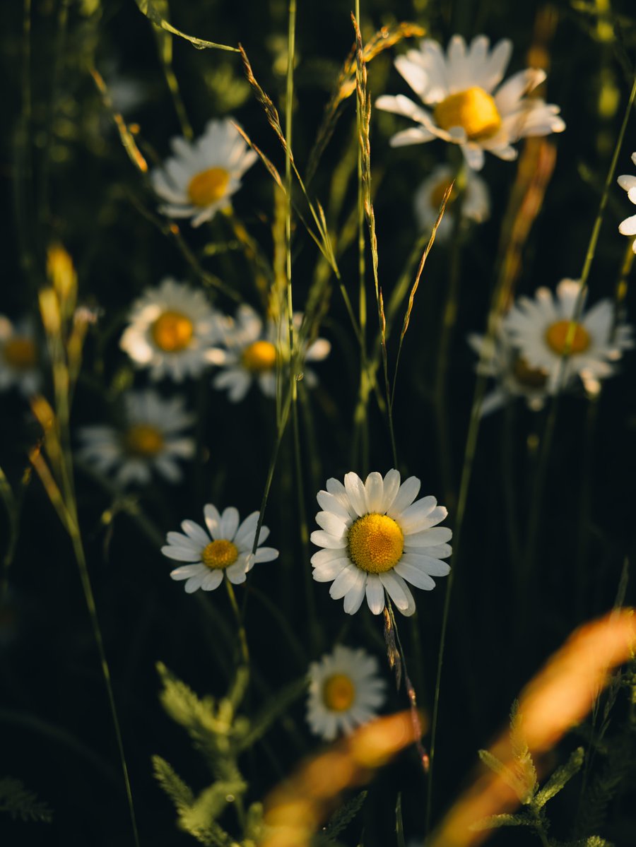 World Click (@worldclick56) on Twitter photo 