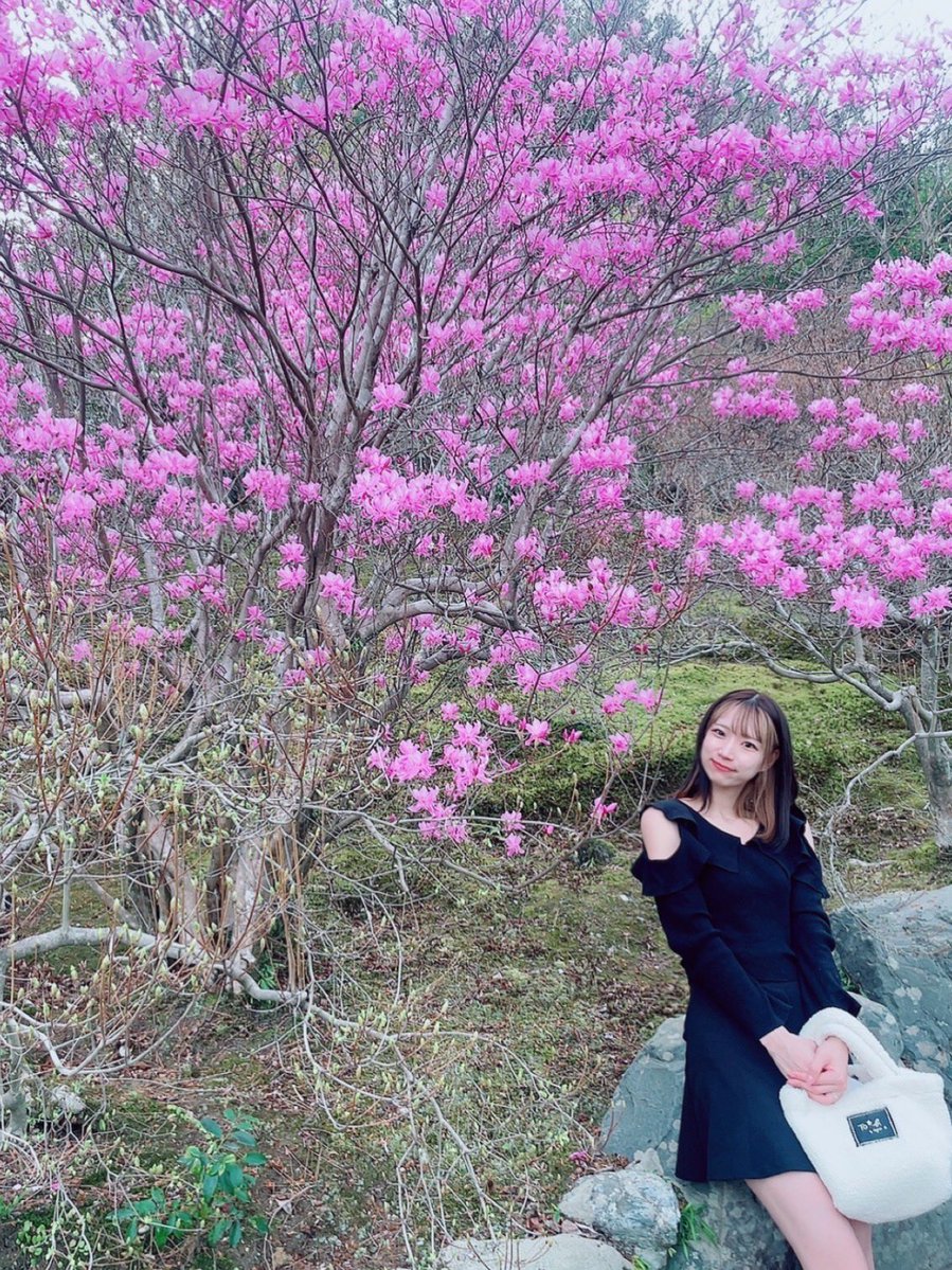 林 蘭那 tweet media