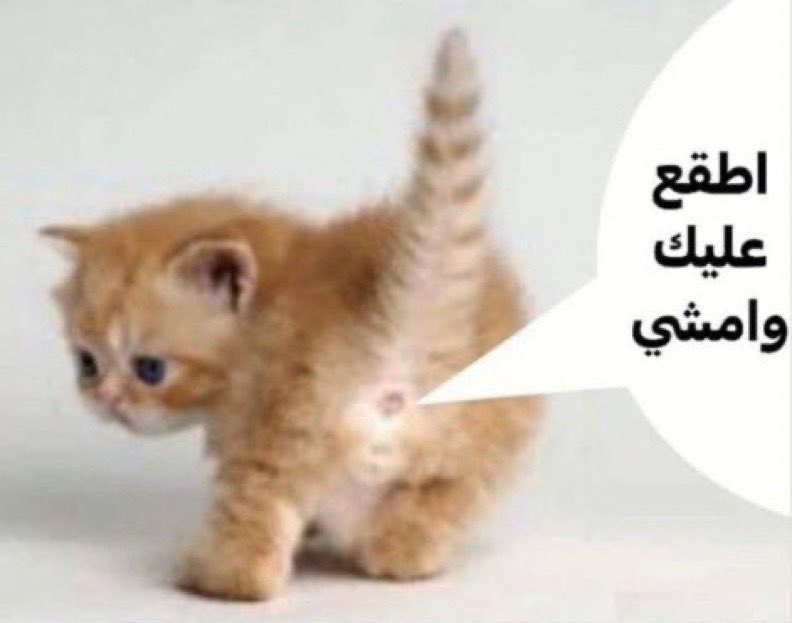 نوني tweet media