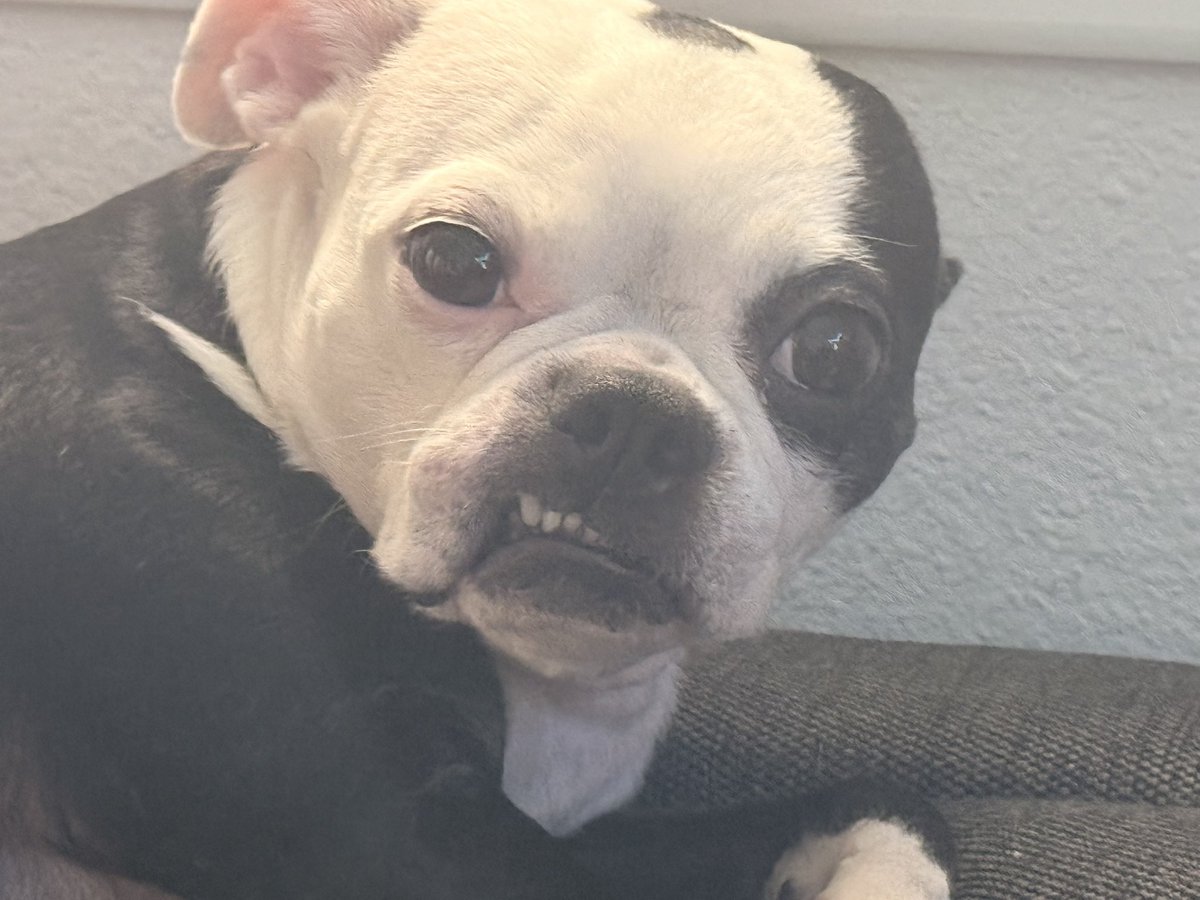 McMalzee tweet media