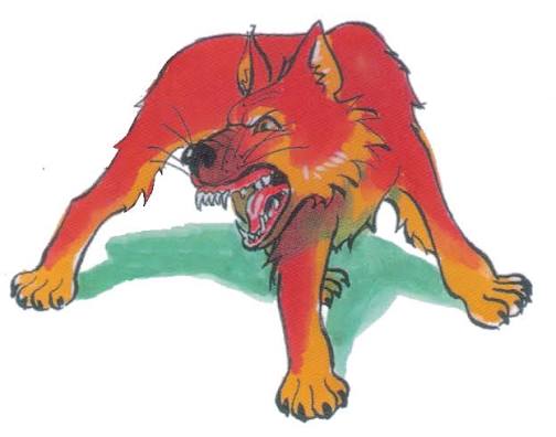 Msc.Nduwayezu Fernand tweet media