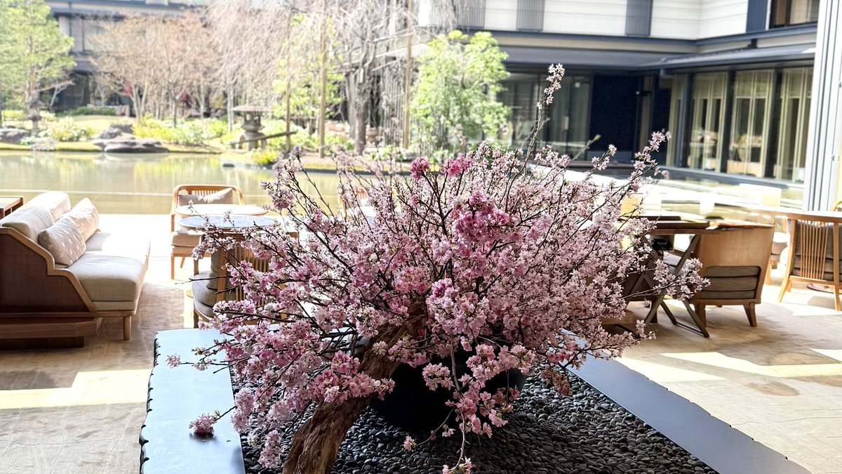 𝐾𝑎𝑛𝑎 tweet media