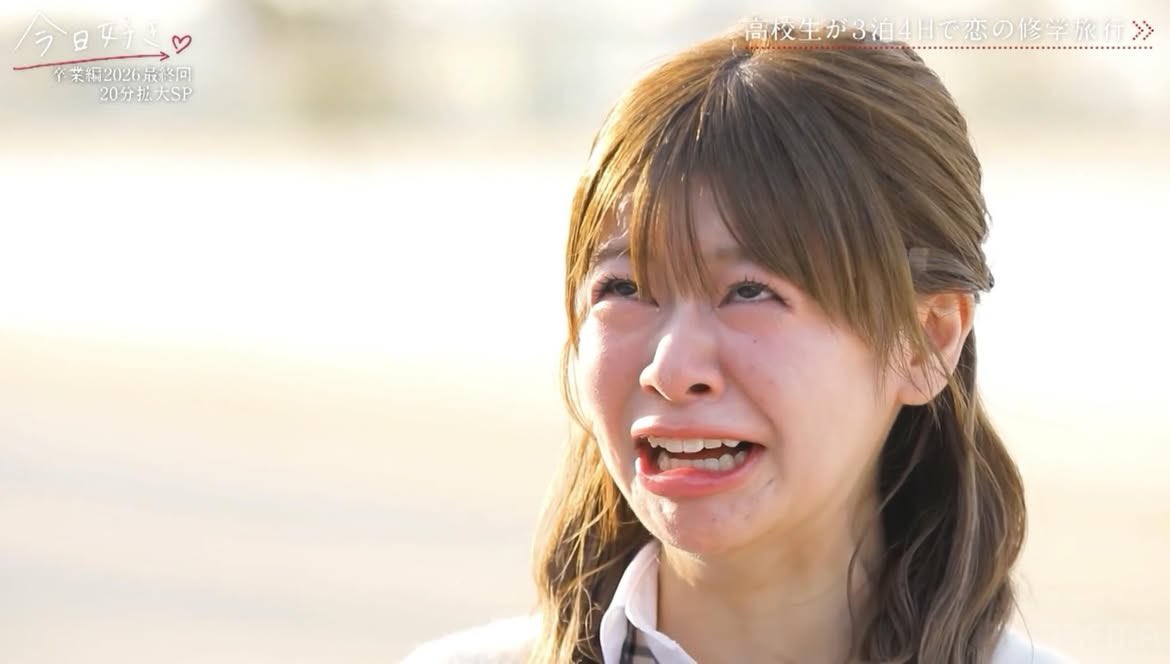 ネットの面白動画 tweet media