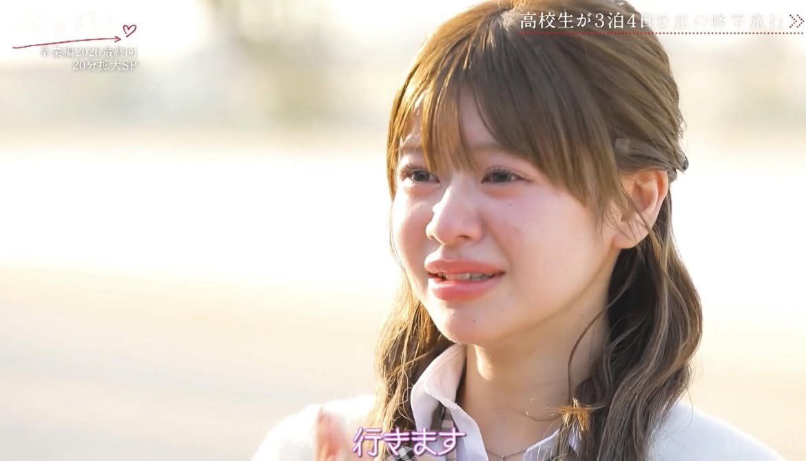 ネットの面白動画 tweet media