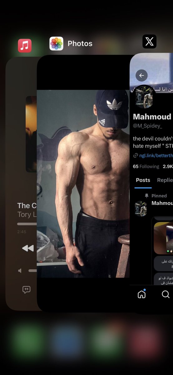 Mahmoud 🕸️🕷️ tweet media