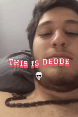 FLYING CHEESEBURGER #PicoDay tweet media