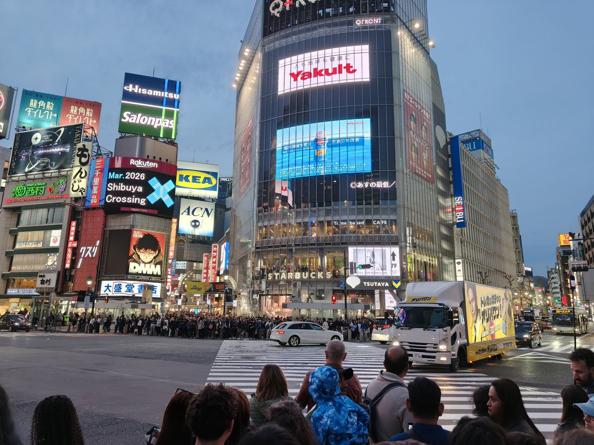 Nanamiao～ tweet media